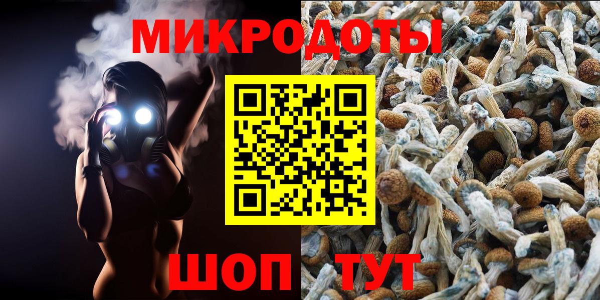 как найти   Галлюциногенные грибы ЛСД  Галлюциногенные грибы MAGIC MUSHROOMS  Вход с VPN  Севастополь 
